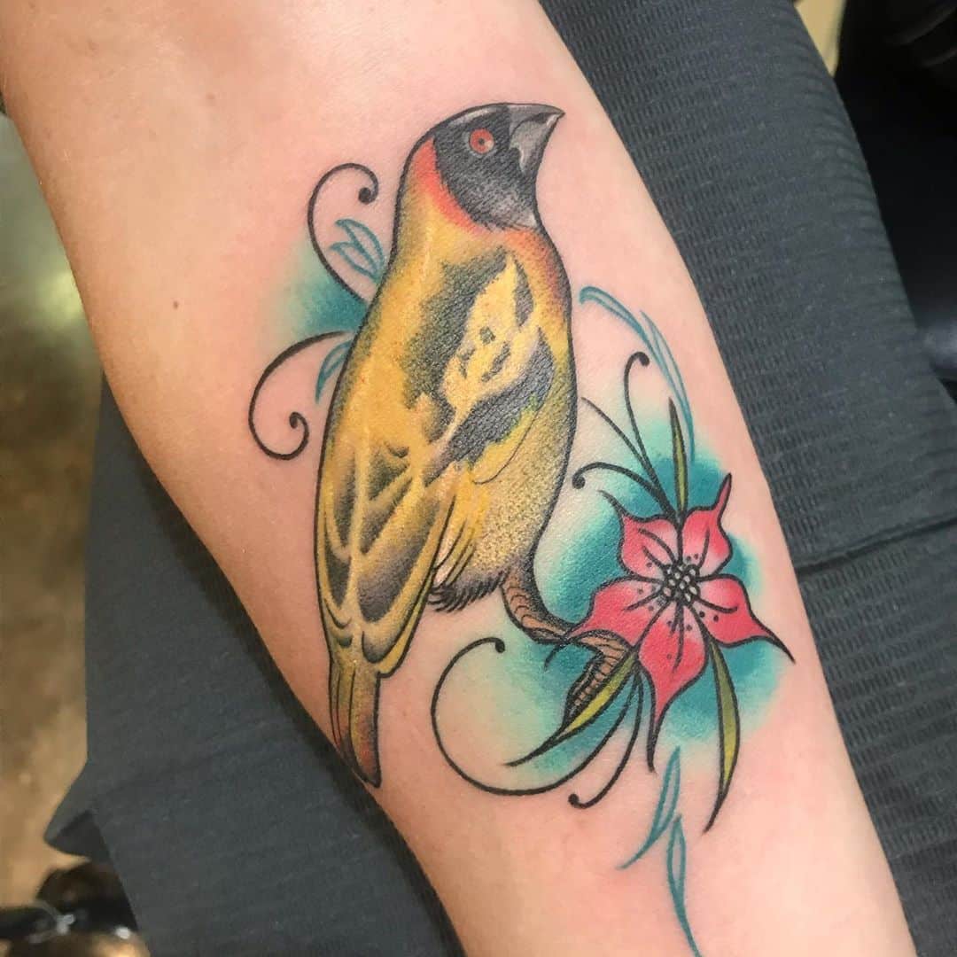 Goldfinch tattoo by Sadee Glover whilst guesting at Dock Street Tattoos,  Leeds, UK. Photo taken back in March just after it was completed. : r/ tattoos