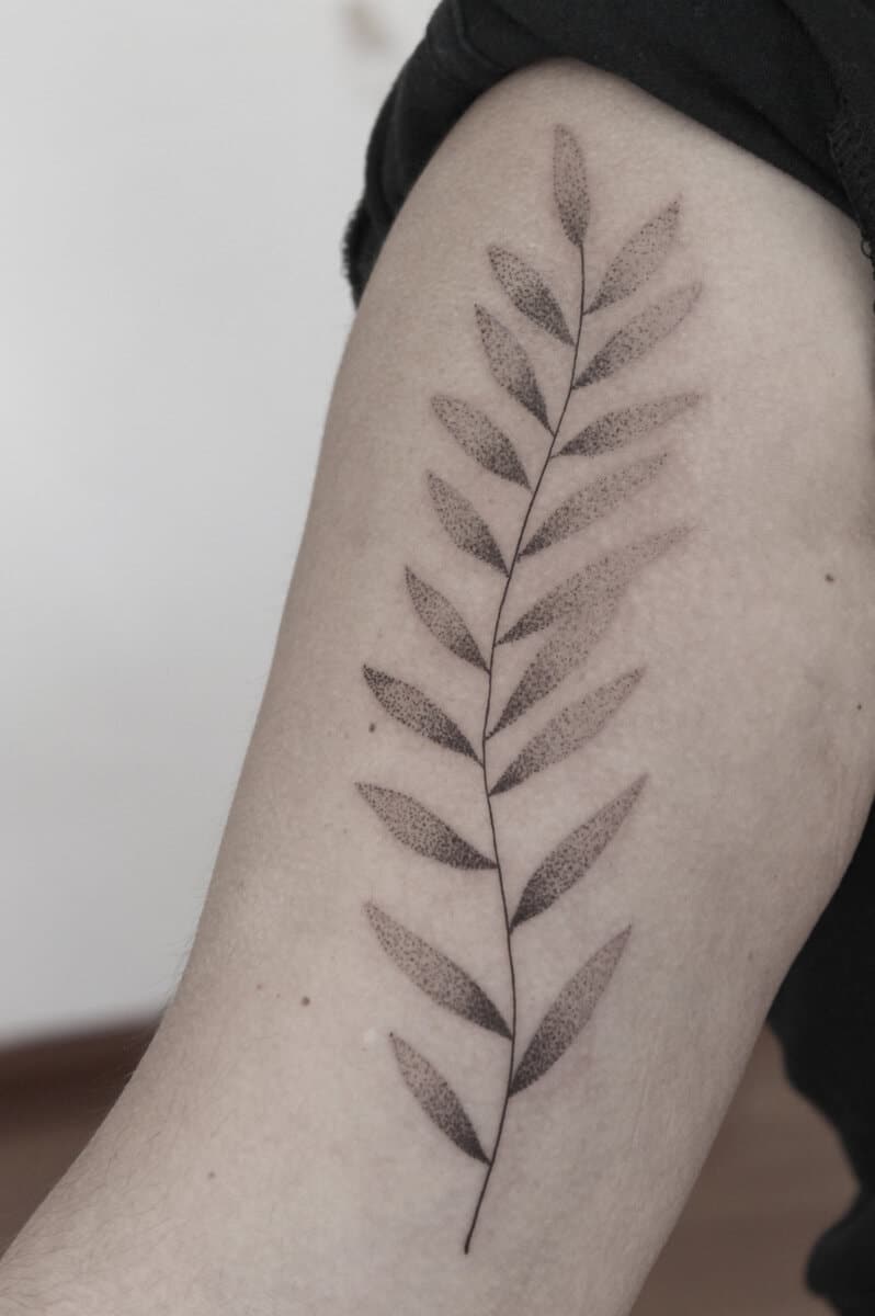 nicol-tattoo-artist-santiago-de-chile-leaves-arm