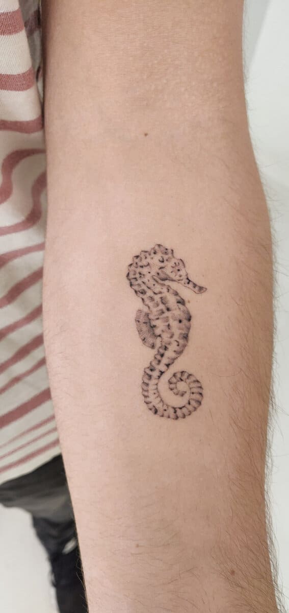 agus-coll-tattoo-artist-seahorse-dotwork