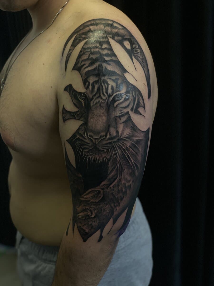 lestat werner tattoo artist tiger shoulder