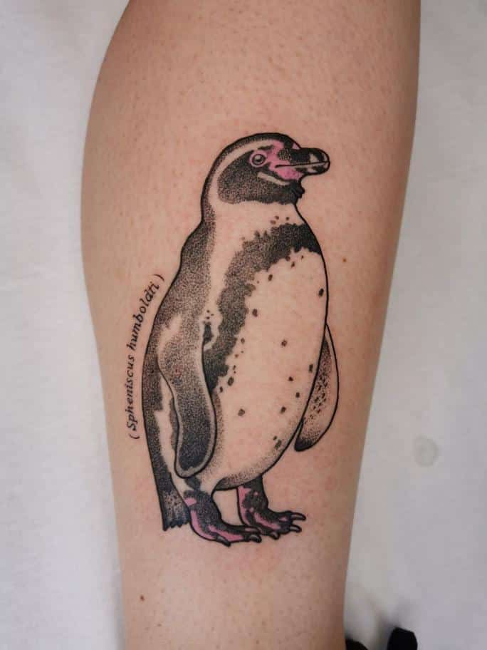 alessandra-lluch-tattoo-artist-penguin