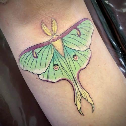 Lost In The Clouds A Moth Tattoo Defies Every Attraction