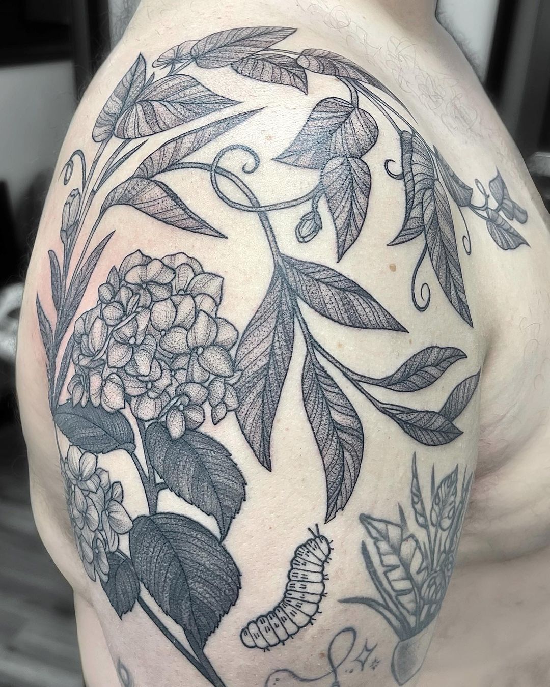 hydrangea-tattoo-black-and-grey-shoulder