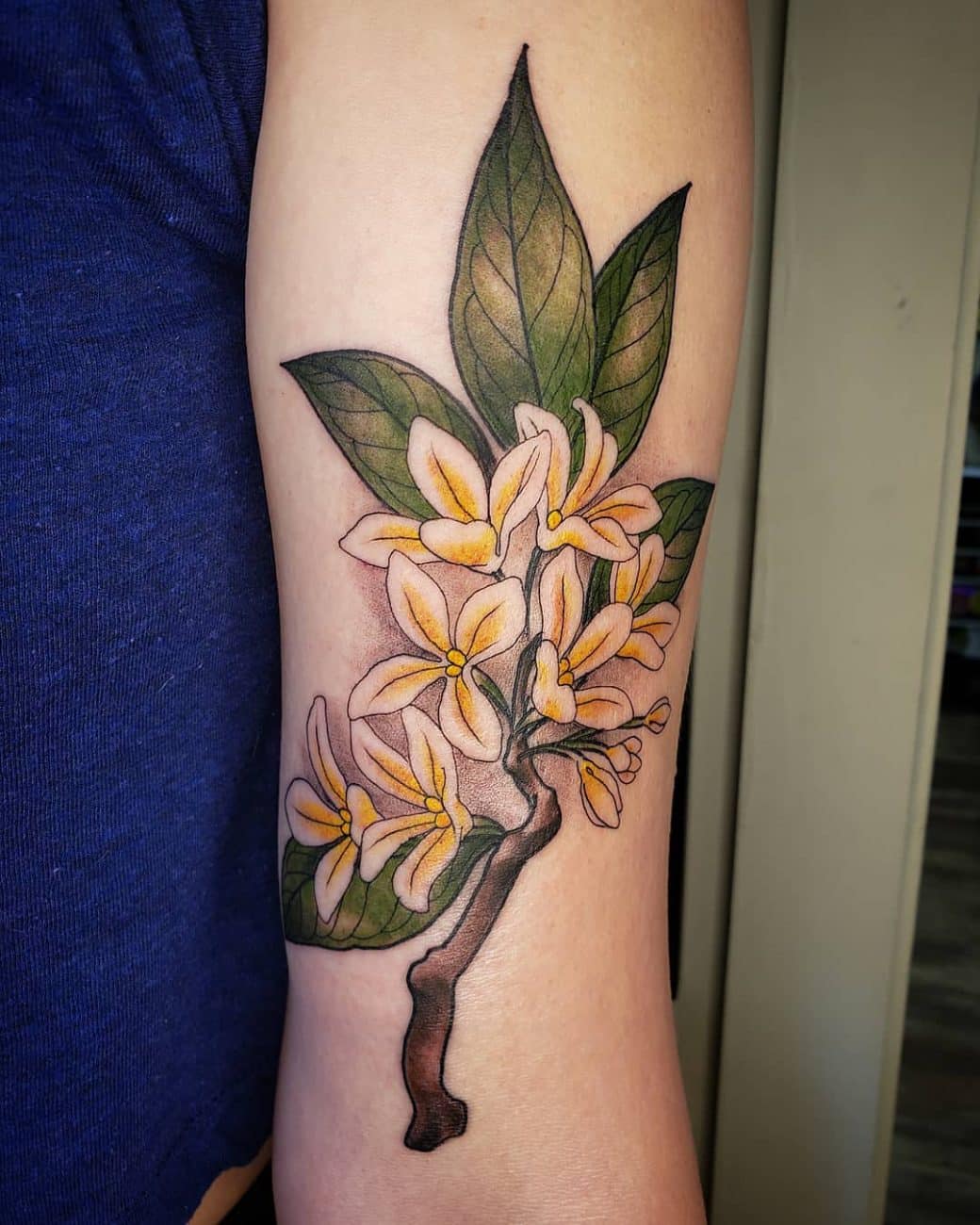 miranda-brouwer-botanical-color-tattoo-new-orleans