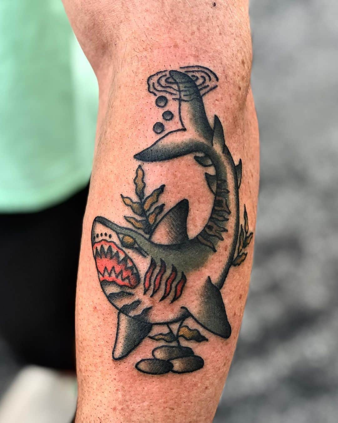 traditional shark tattoo eva