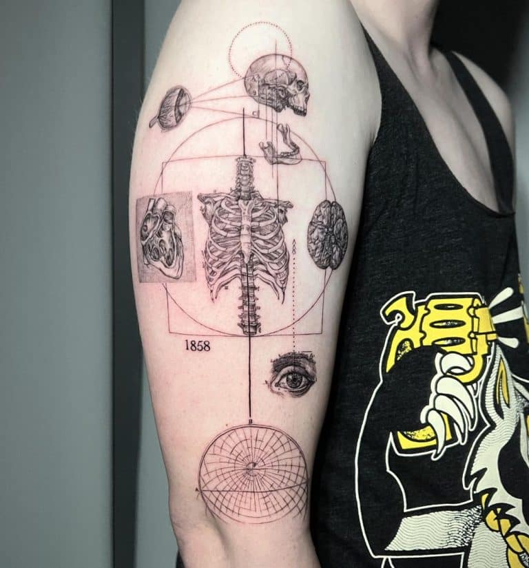 🔥🔥 Anatomical Tattoos 🔥🔥 Complete guide for you