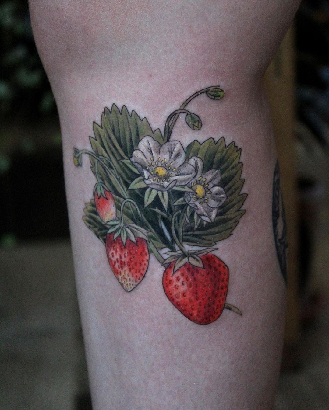 portland tattoo shops meg adamson strawberries tattoo
