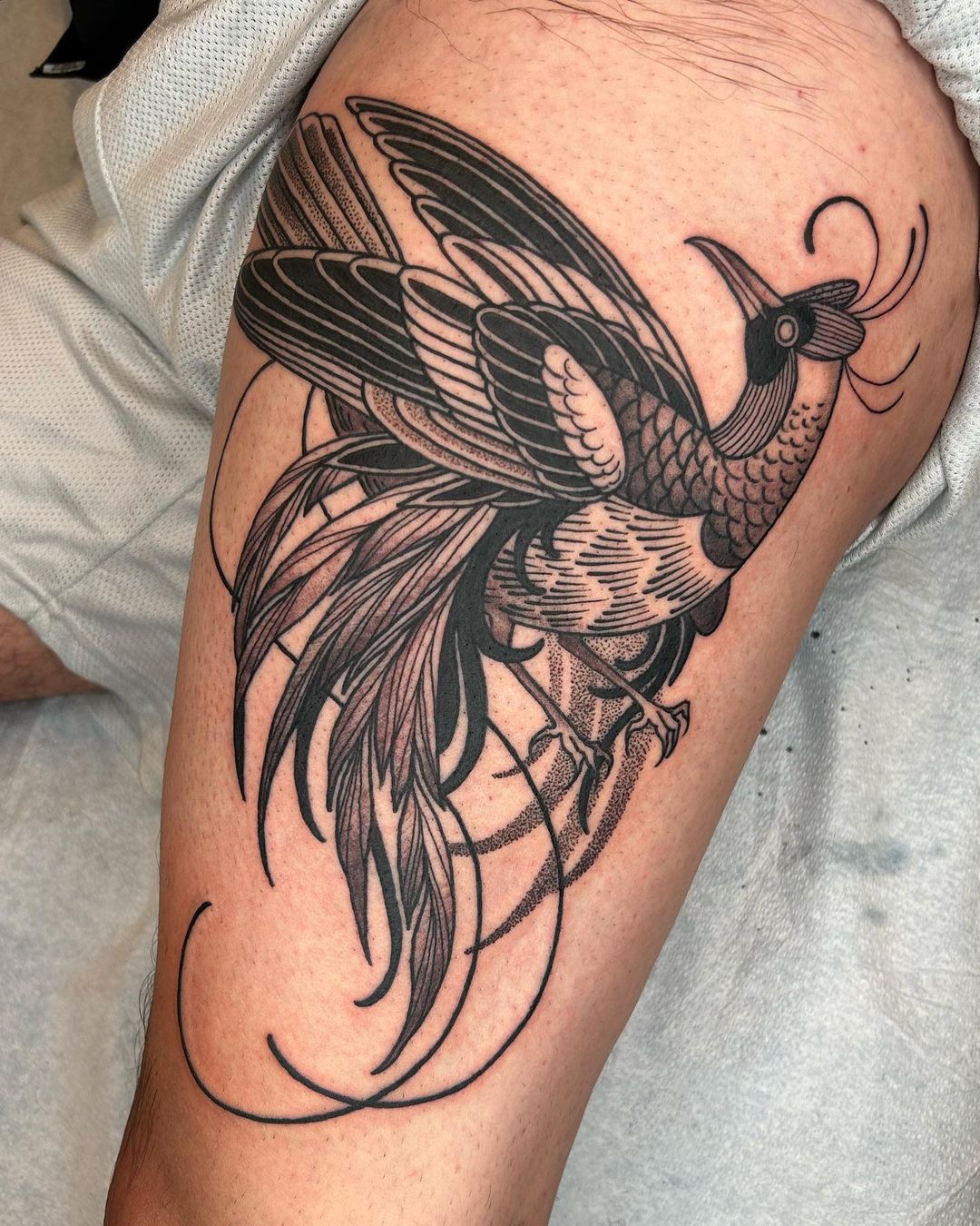 kelsey-moore-peacock-tattoo-black-ink-chicago