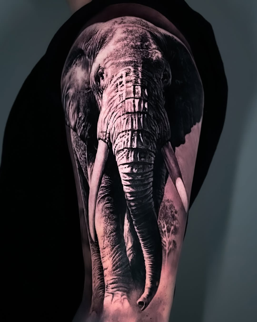 elephant tattoo meaning realistic tattoo antoine jamet