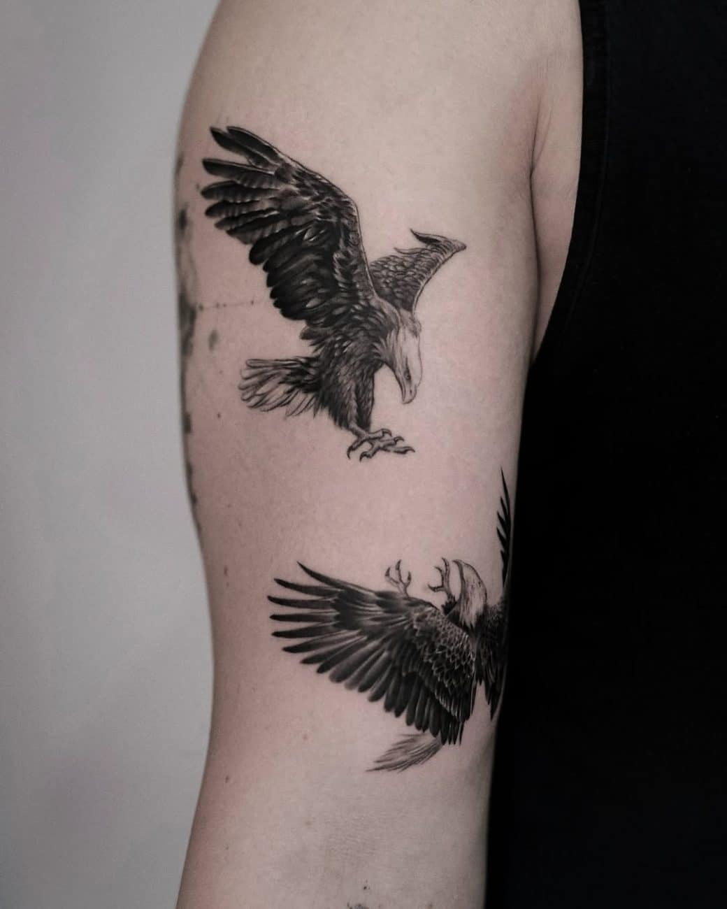 fighting eagle bird tattoo illustration style bartek tattoo