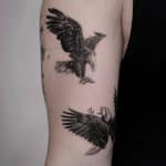 fighting eagle bird tattoo illustration style bartek tattoo