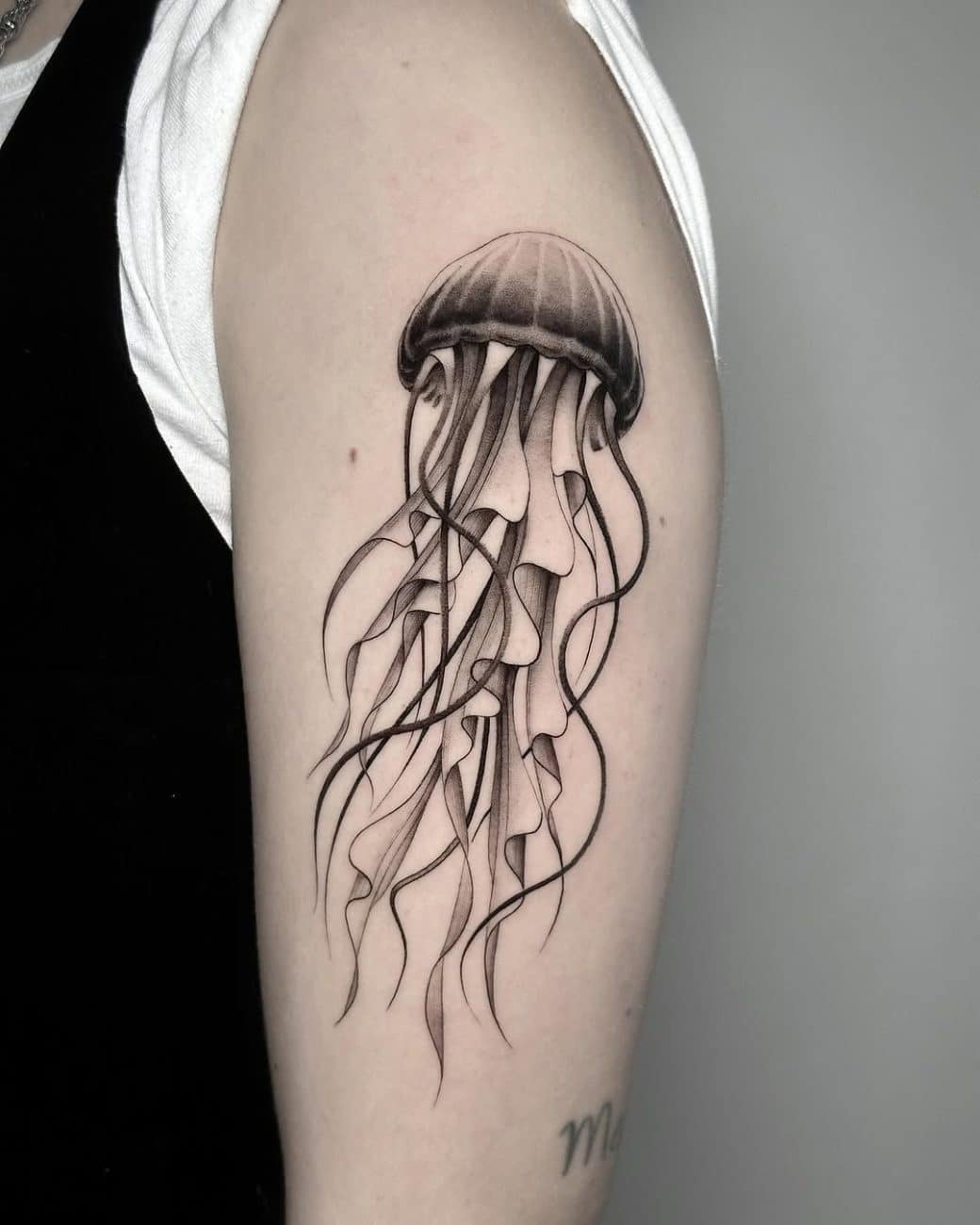 jellyfish tattoo realism illustration style riccardo de santis