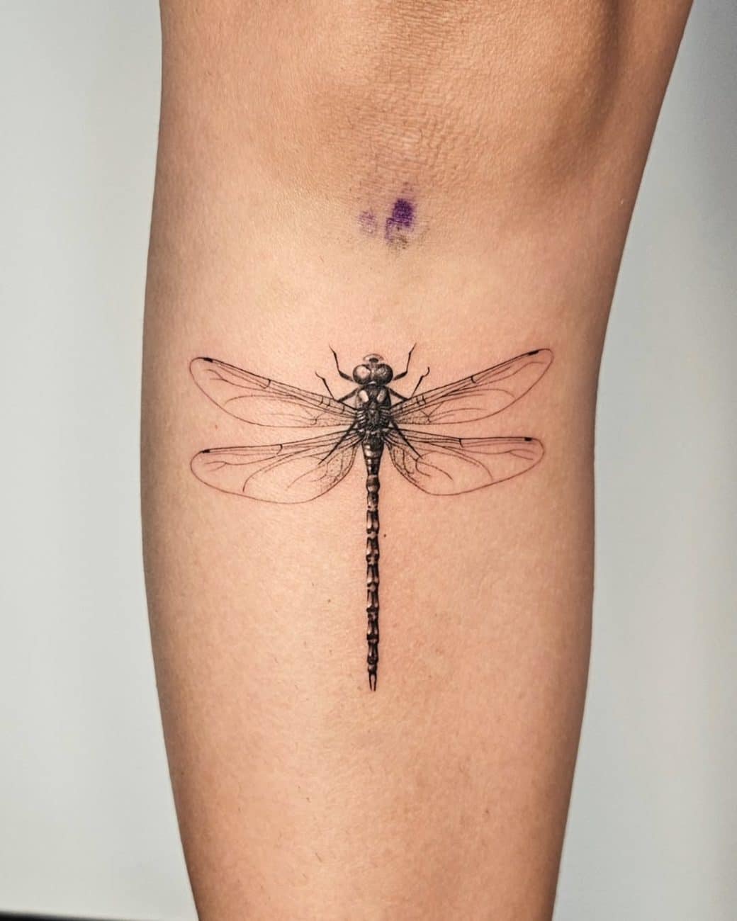 Japanese Dragonfly Tattoo Orangetattooshop