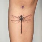 dragonfly tattoo meaning realistic tattoo ash vm shepherd