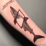 great whit shark realistic roberto