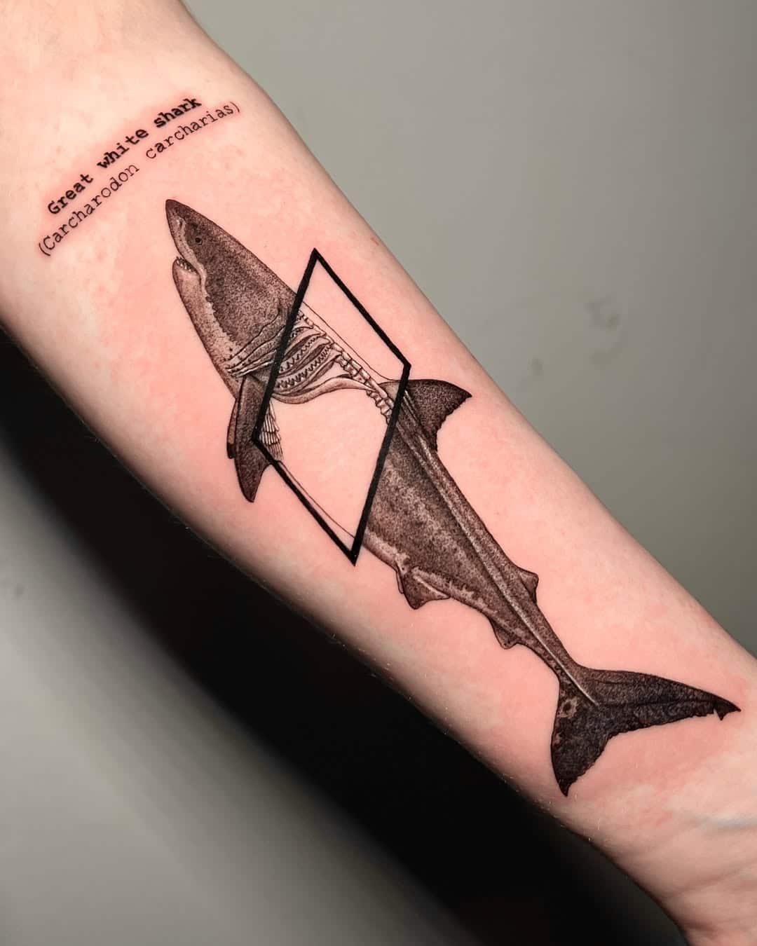 Shark Tattoo Meaning: The Complete Guide with lots of Tattoo
