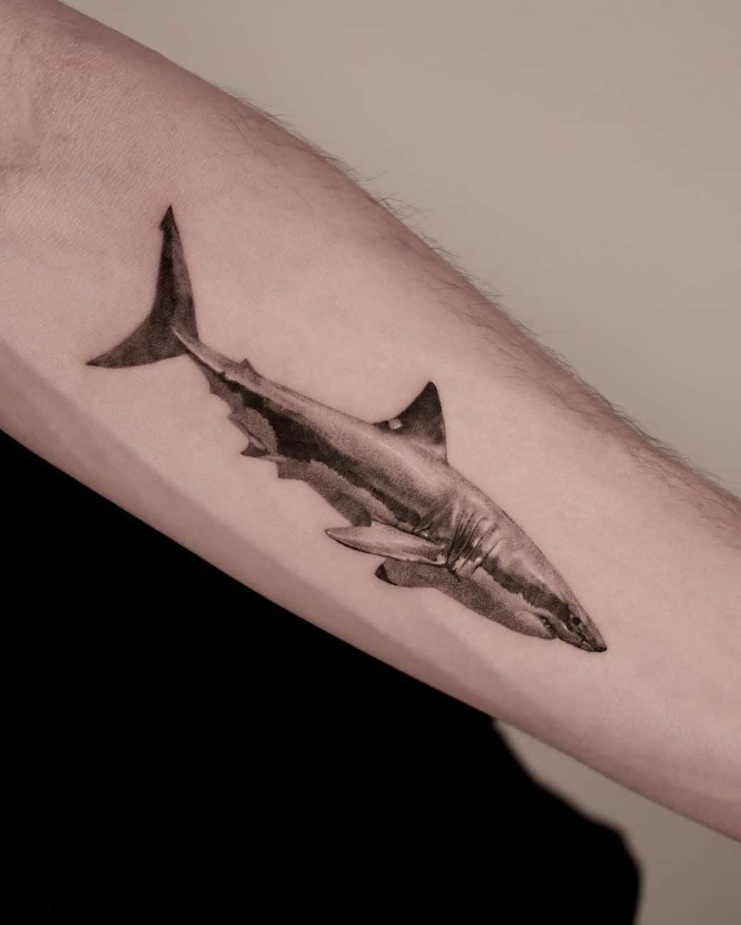 great-white-shark-meaning-realism-won