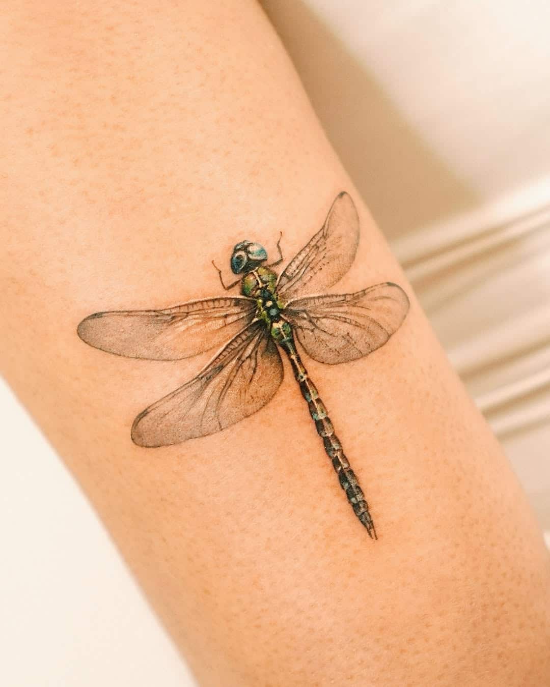 green dragonfly illustration tattoo seulki park