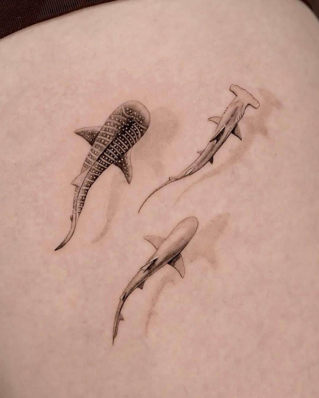 shark-tattoo-meaning-three-sharks-kathy