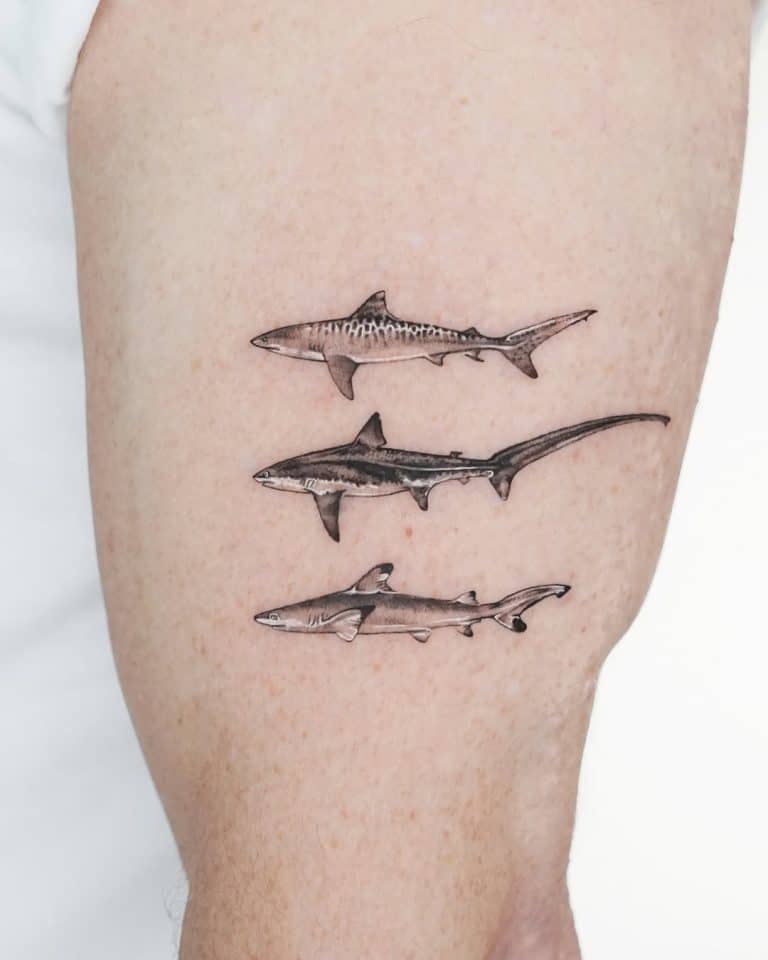 Shark Tattoo Meaning: The Complete Guide with lots of Tattoo