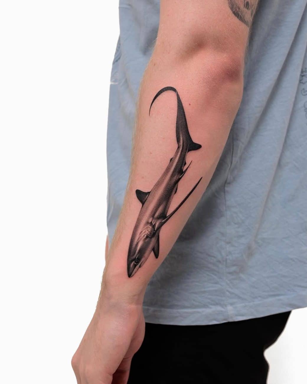 thresher-shark-meaning-sav-realistic-style