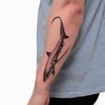 thresher shark meaning sav realistic style