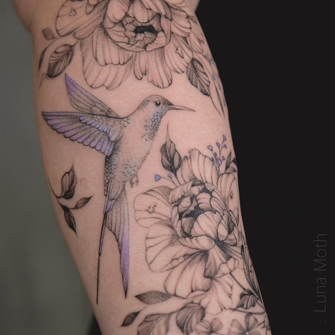 delicate-black-and-gray-hummingbird-realistic-daria